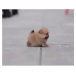 147580845028554.jpg