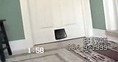 147581292715460.jpg