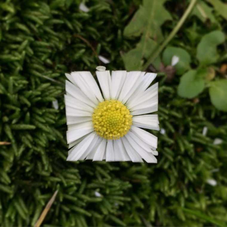 147616264657587.jpg