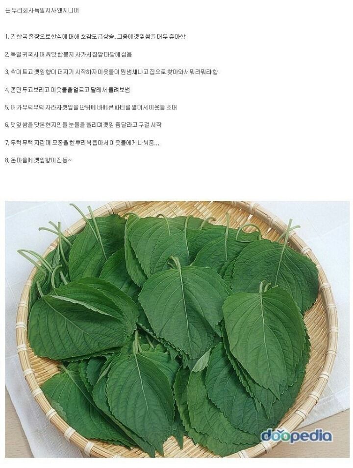 147703126943631.jpg