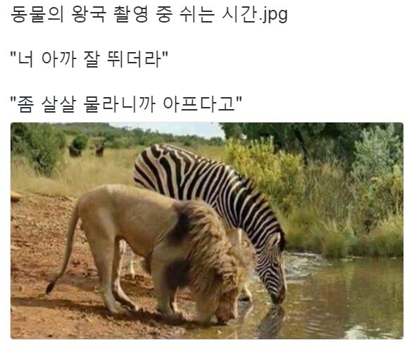 147997308445255.jpg