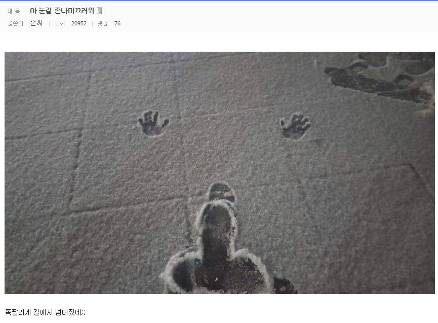 148465426933976.jpg