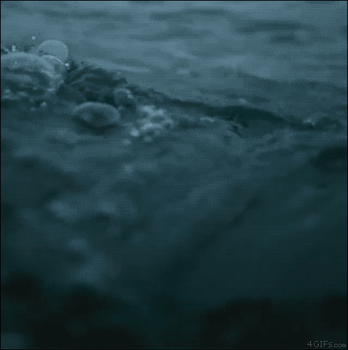 148619252213042.jpg