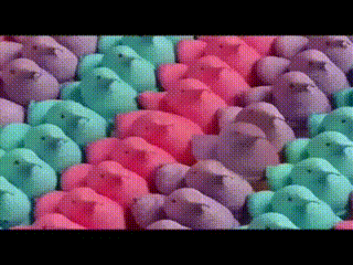 148859189833070.gif