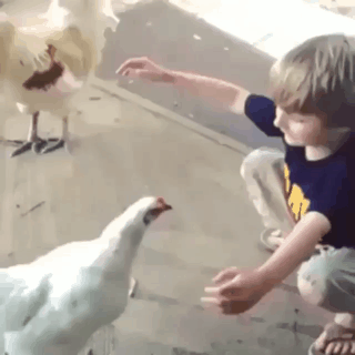 148879476195303.gif