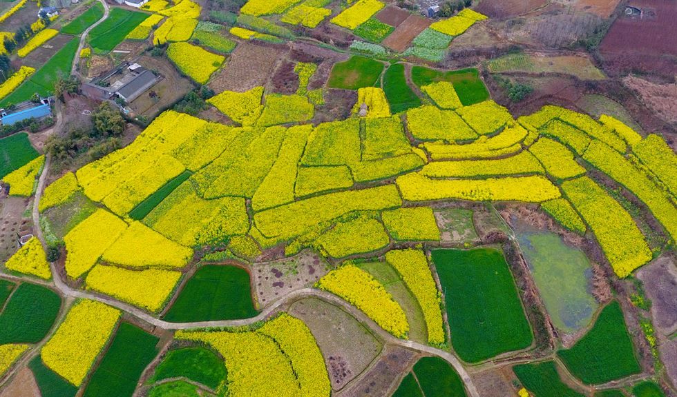 클릭하시면 원본 이미지를 보실 수 있습니다 148879601946029.jpg