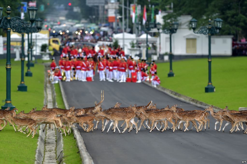 클릭하시면 원본 이미지를 보실 수 있습니다 148879602124637.jpg