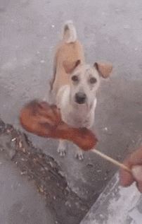 148881086311611.gif