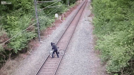 148888033377897.gif