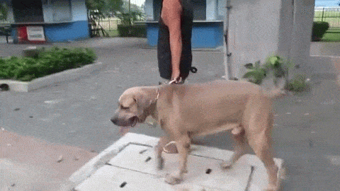 148941170785883.gif