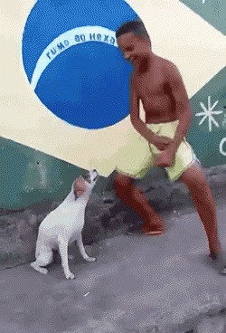148947286929023.gif