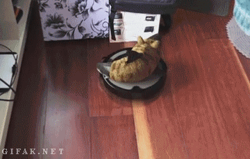 148971298295879.gif