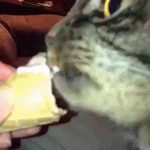148971919531235.gif