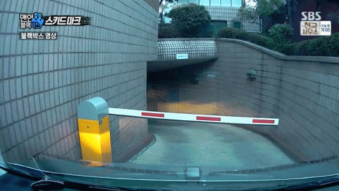 148972595318834.GIF