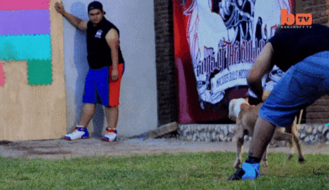 148976250536533.gif