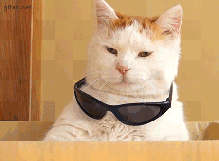 148977011455462.gif