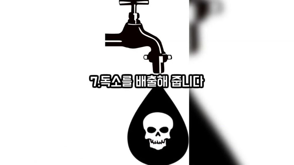 148977097425610.jpg