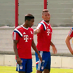 149146551528832.gif