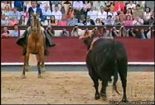 149147654383799.gif