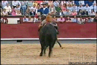 149147654571339.gif