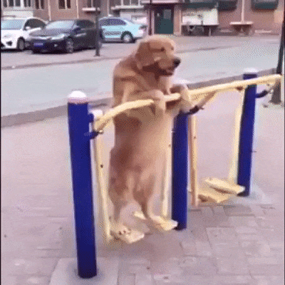 149208611130104.gif