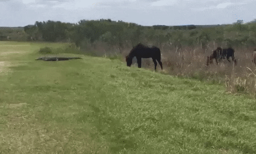 149208902856877.gif
