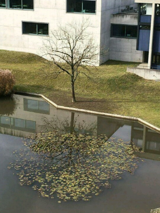 149251850772881.png