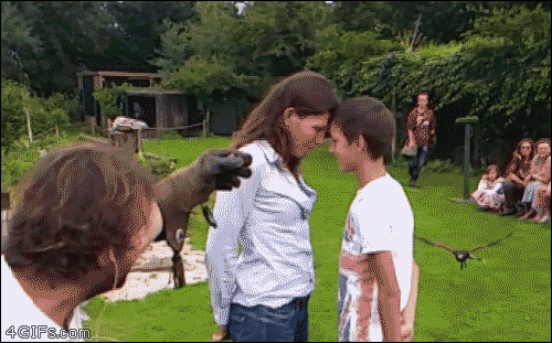 149260936078986.gif