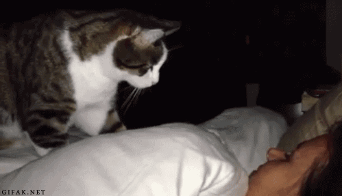 149260964815959.gif