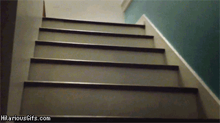149264802768247.gif