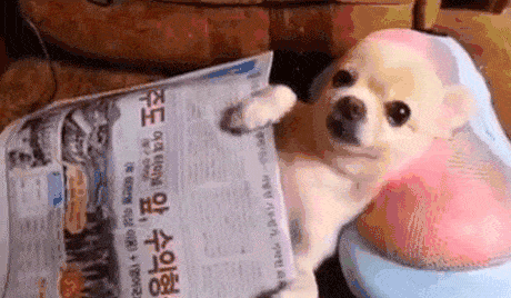 149265595894126.gif