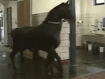 149265832166743.gif