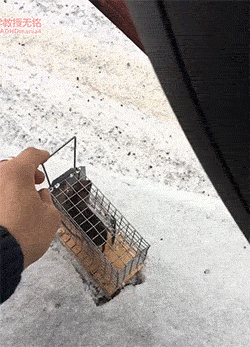 149267083857764.gif
