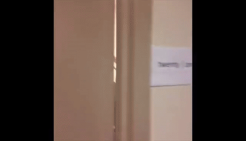 149273545384689.gif