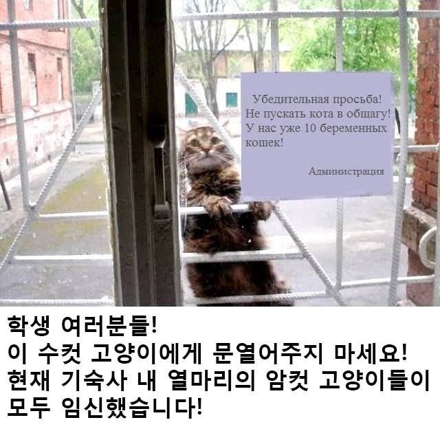 149318643125562.jpg