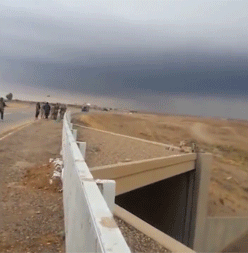 149388560951298.gif
