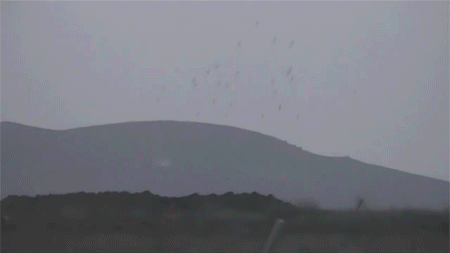 149388561557691.gif