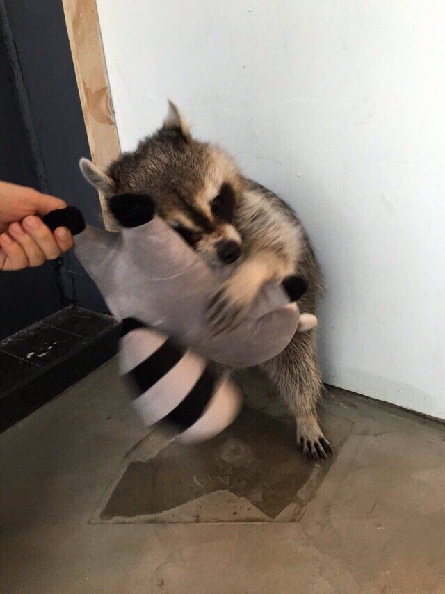 149388858718442.jpg