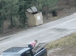 149397085585283.gif