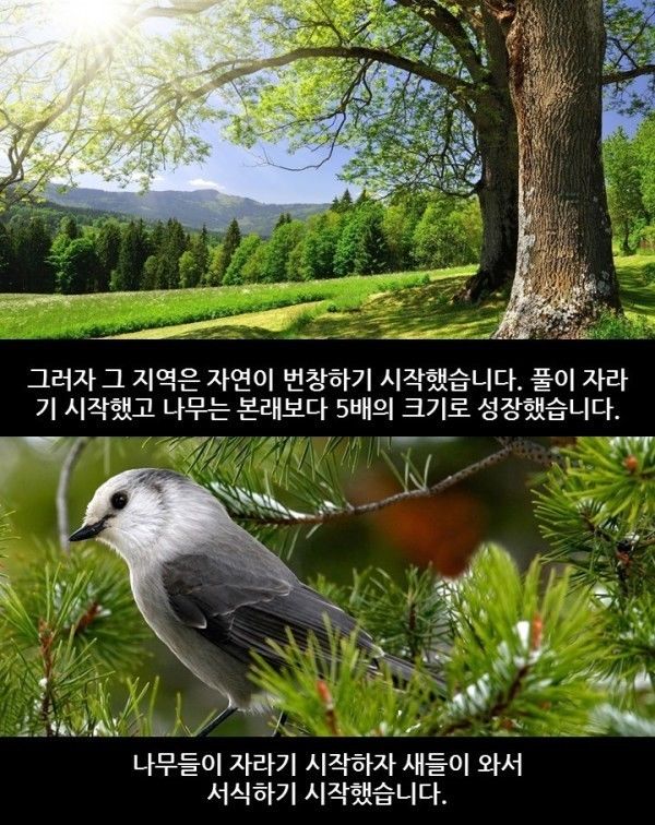 149404931387645.jpg