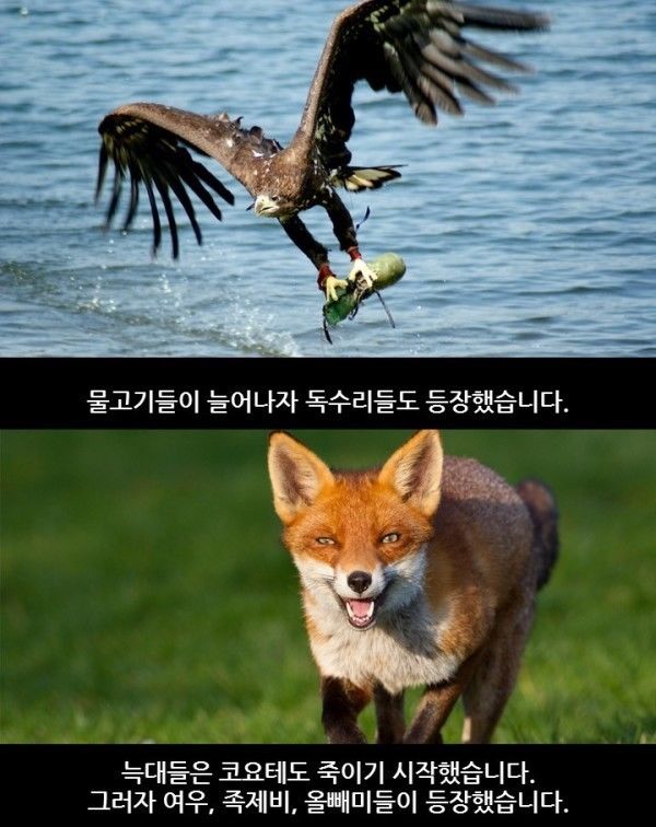 149404931547747.jpg