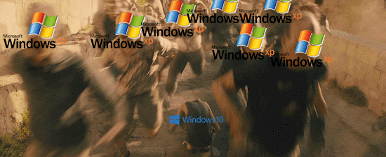 149481263495948.gif
