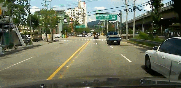 149501838873402.gif