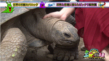 149502127576535.gif