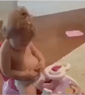 149507647490786.gif