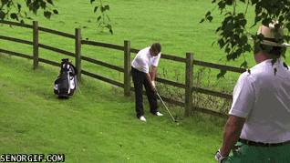 149511656868711.gif