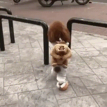 149511667212225.gif