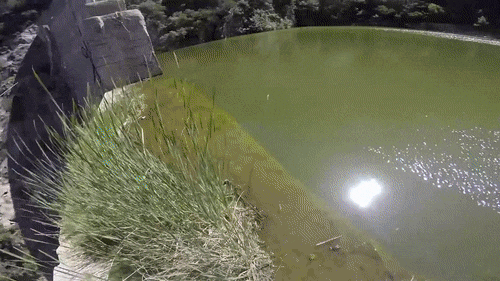 149511852813133.gif