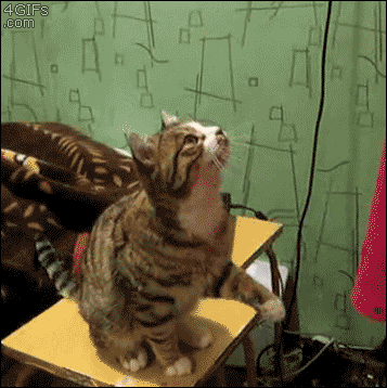 149553474561023.gif