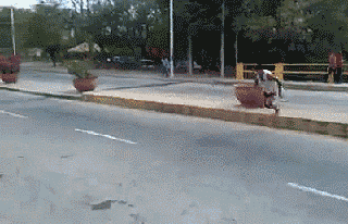 149558906265143.gif